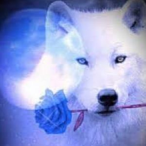 Meet your Posher, Arl